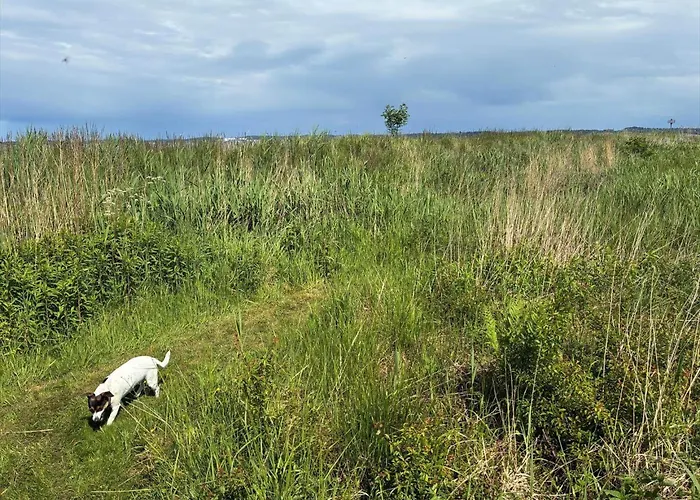 Дом отдыха Fj1013-jaegerspris-tornvig-olsens-vej-13 *